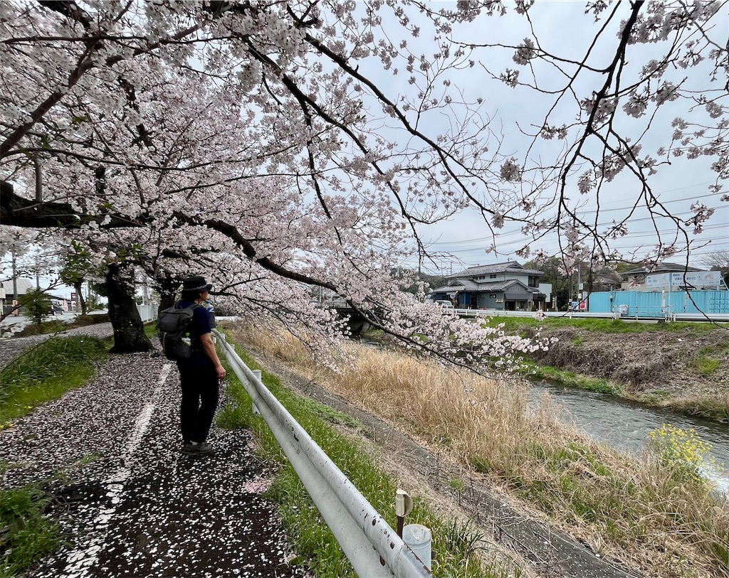 f:id:airura:20260407134850j:image