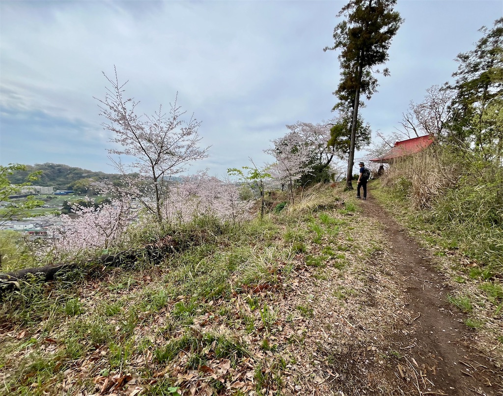 f:id:airura:20260407134911j:image
