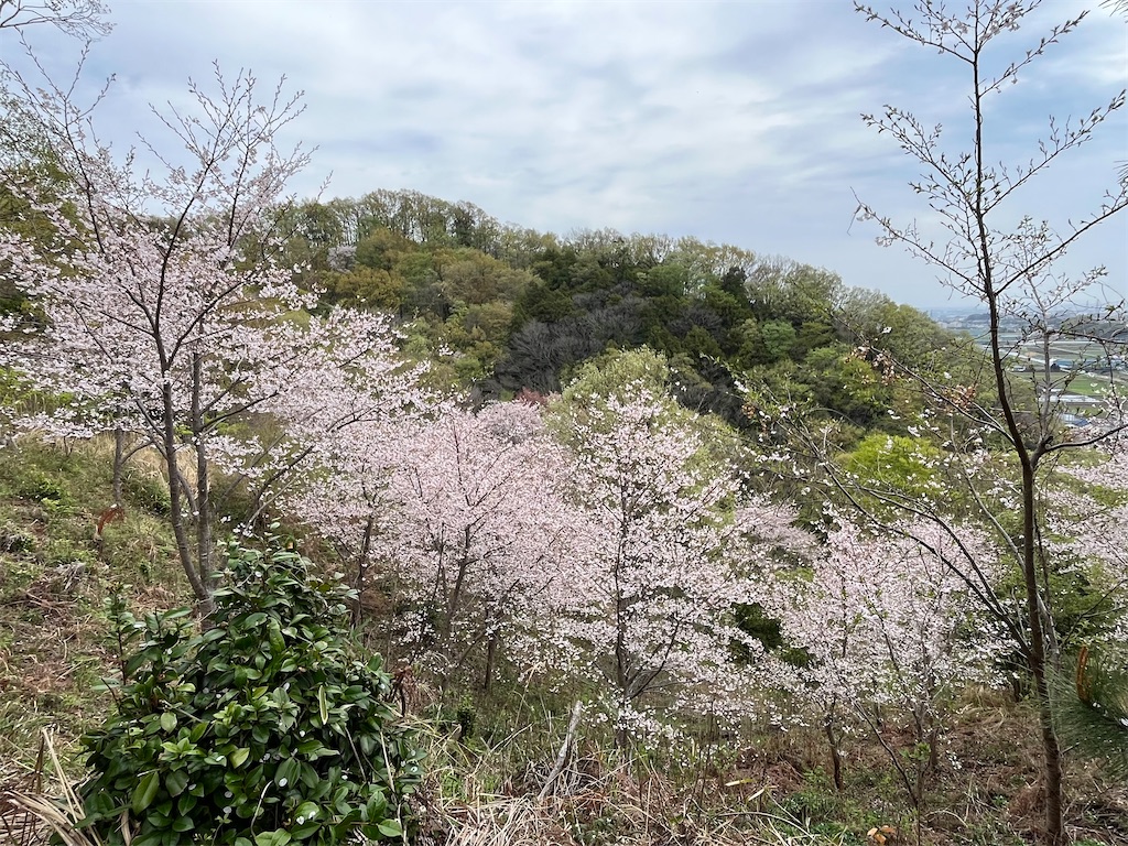 f:id:airura:20260407134928j:image