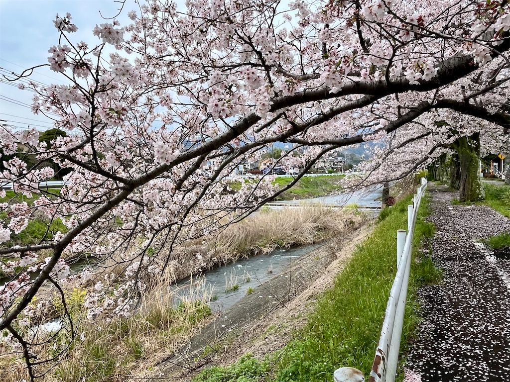 f:id:airura:20260407135024j:image