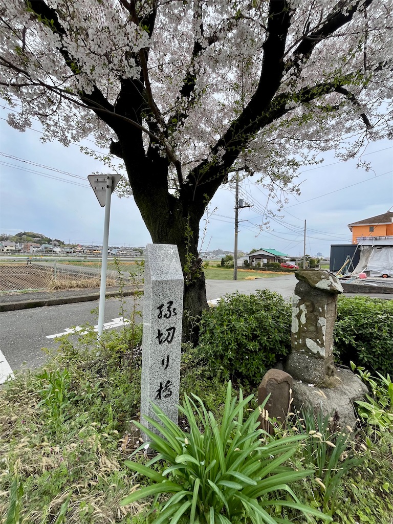 f:id:airura:20260407135027j:image