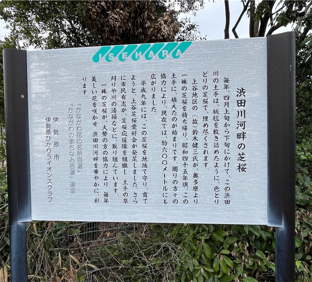 f:id:airura:20260407135036j:image