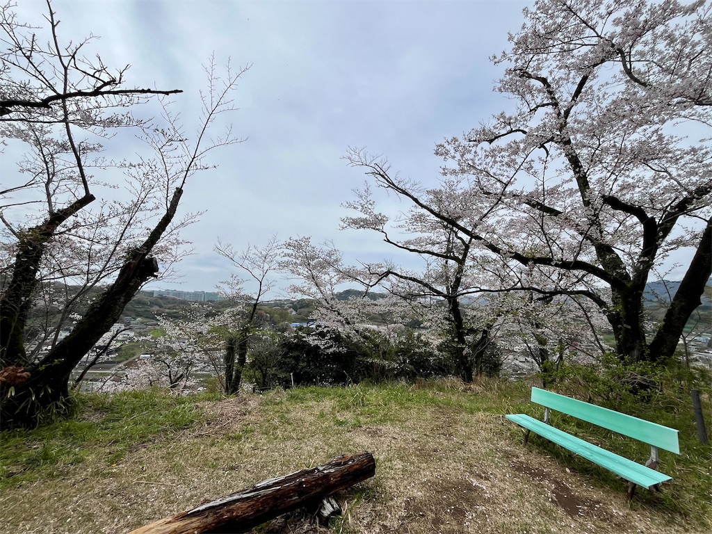 f:id:airura:20260407135100j:image