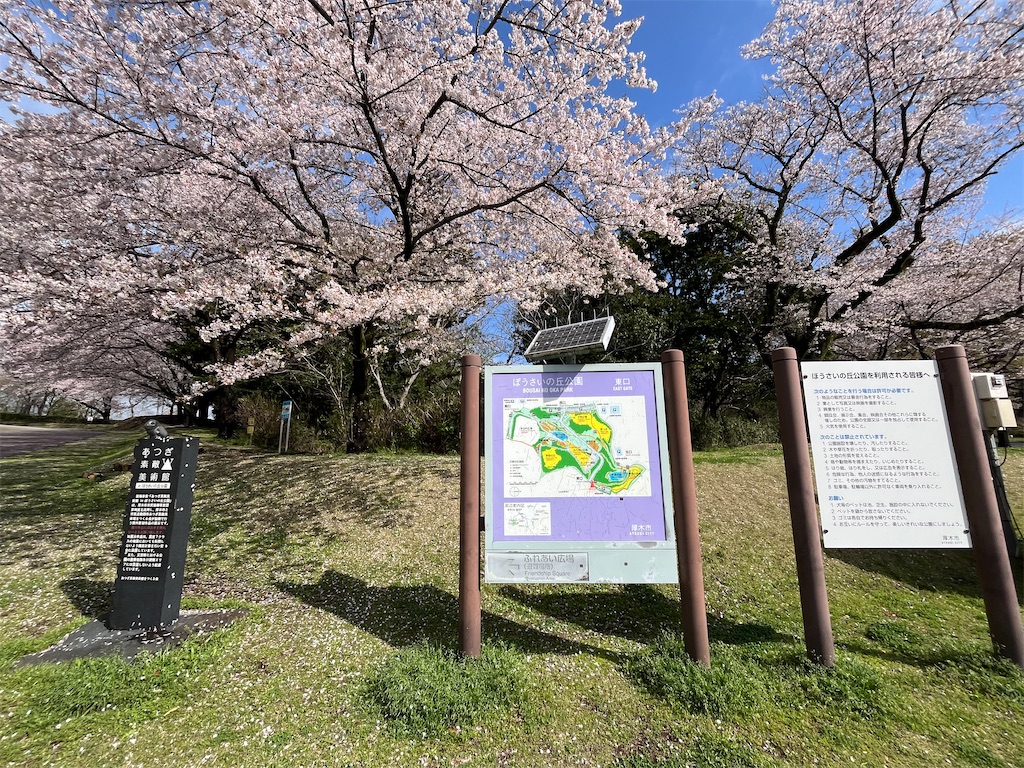 f:id:airura:20260407135109j:image