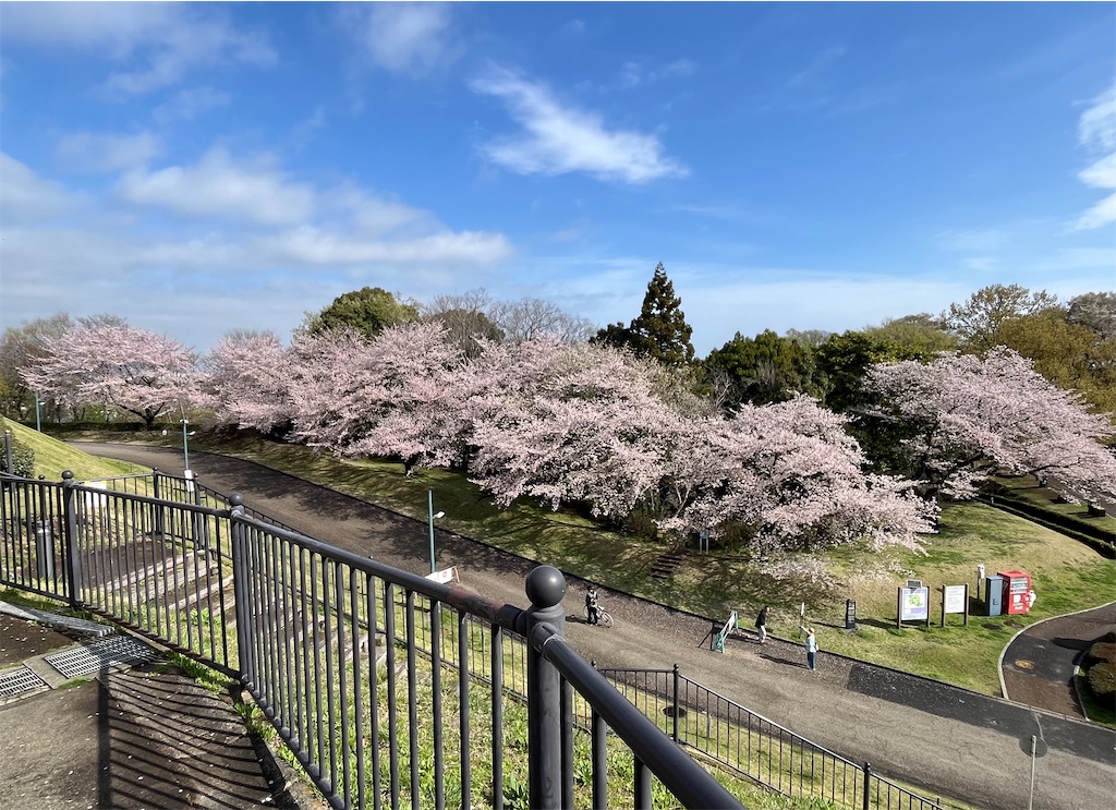 f:id:airura:20260407135124j:image