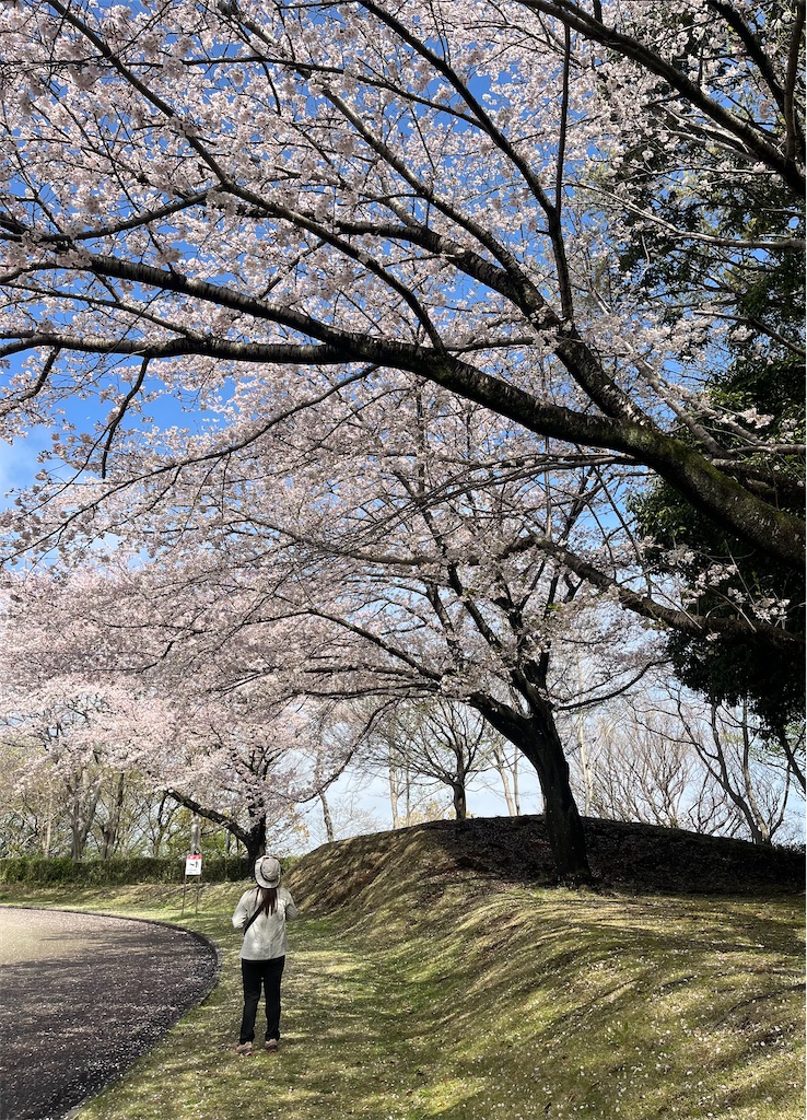 f:id:airura:20260407135130j:image