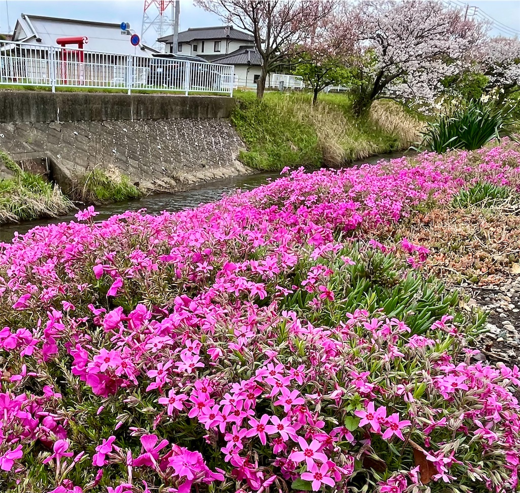 f:id:airura:20260407135204j:image