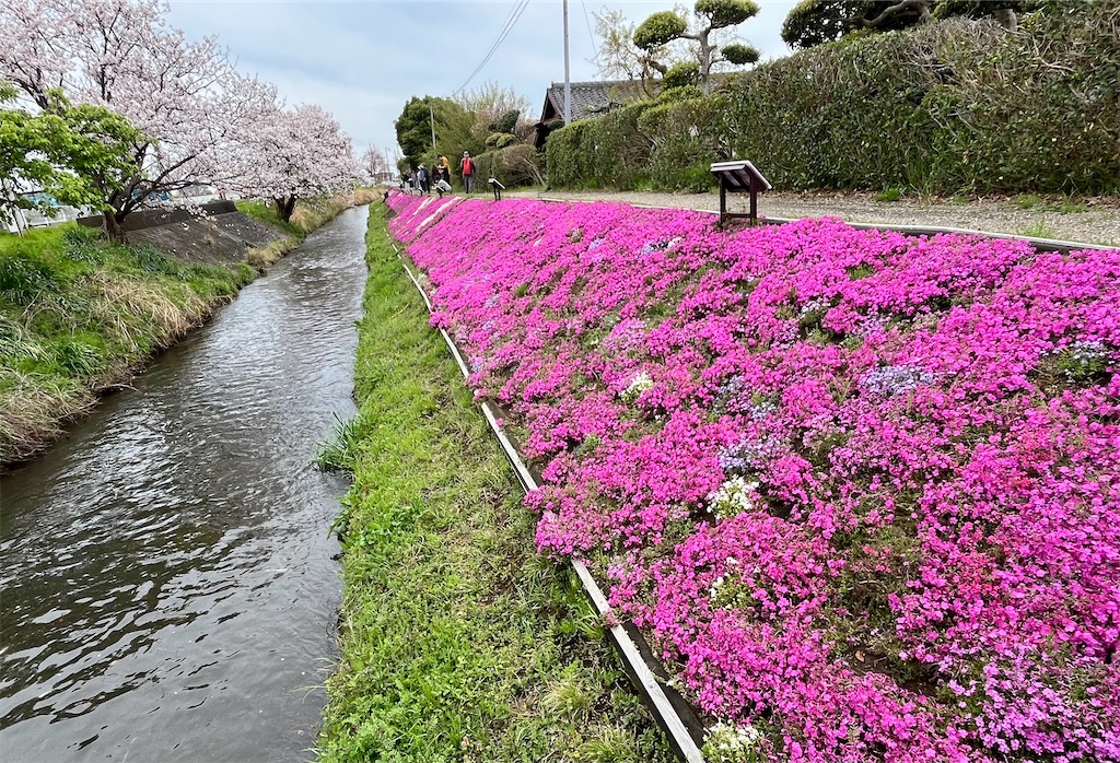 f:id:airura:20260407223606j:image