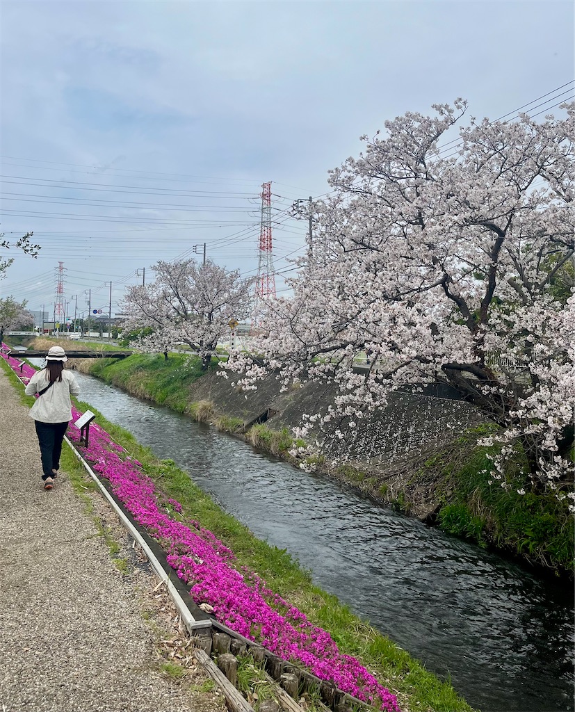 f:id:airura:20260408003653j:image
