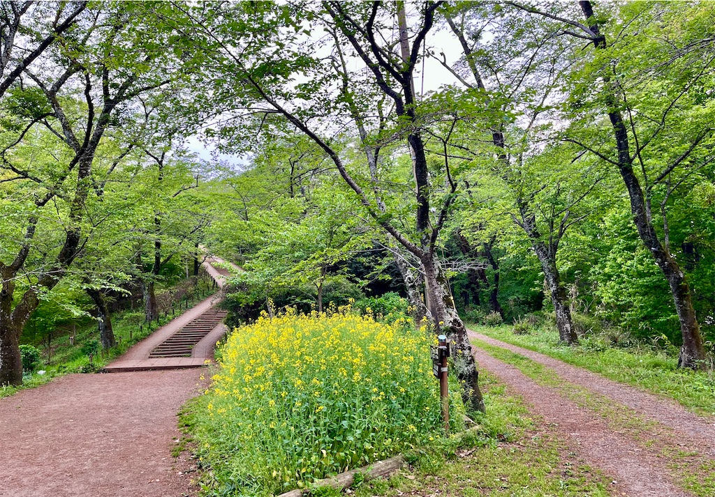 f:id:airura:20260420100730j:image