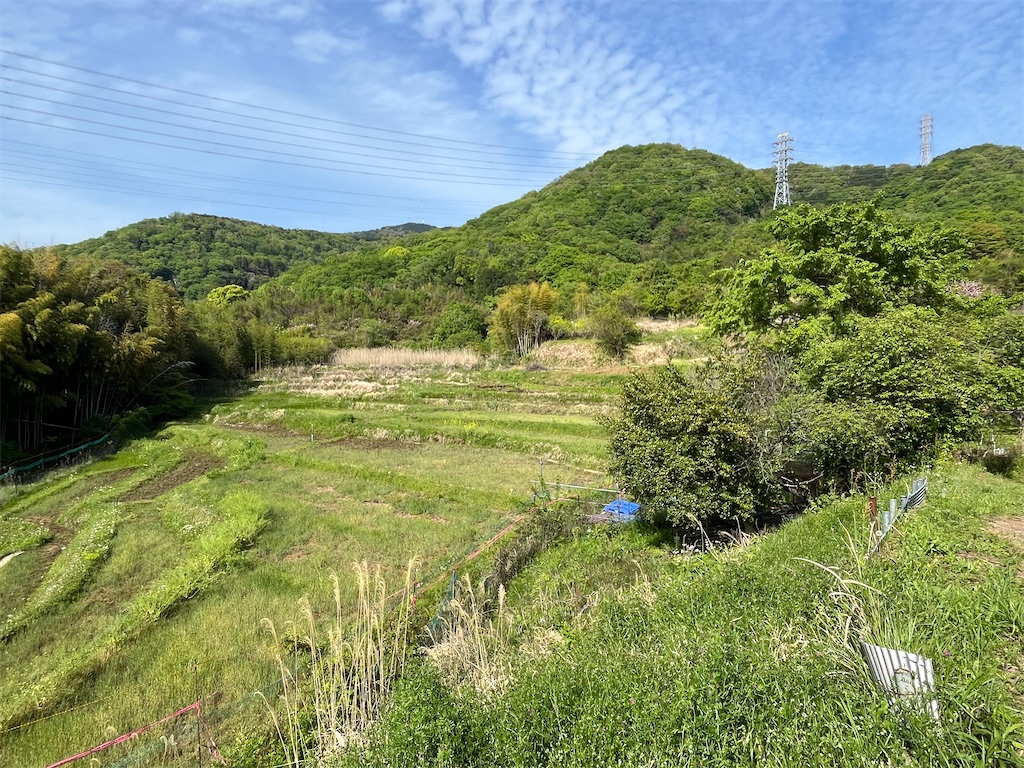 f:id:airura:20260420100803j:image