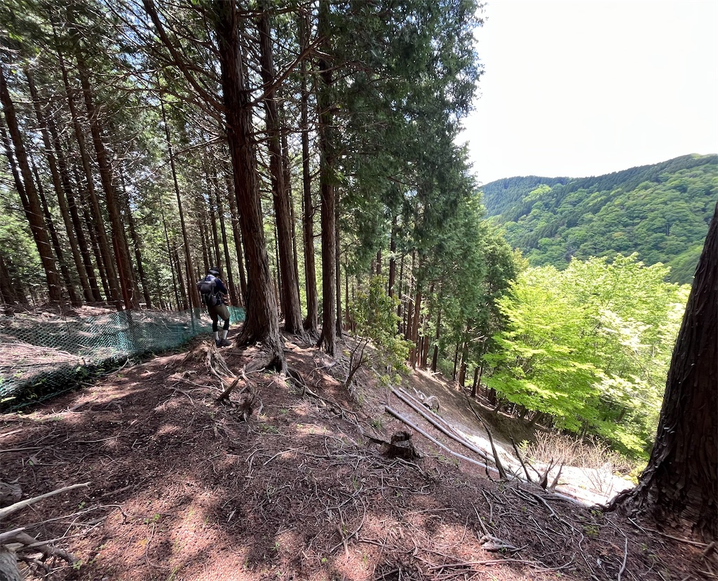 f:id:airura:20260511102705j:image