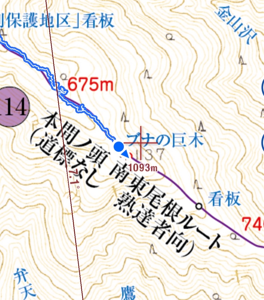 f:id:airura:20260520095404j:image