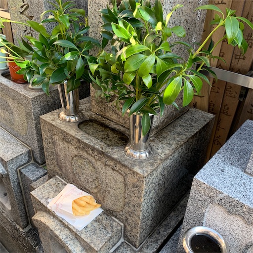 f:id:airwave221:20191214215204j:image f:id:airwave221:20191214215204j:image