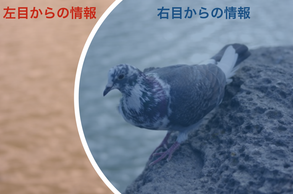 f:id:airways767:20170223202332p:plain f:id:airways767:20170223202332p:plain