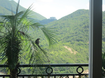 f:id:aisa-hk:20100801094903j:image