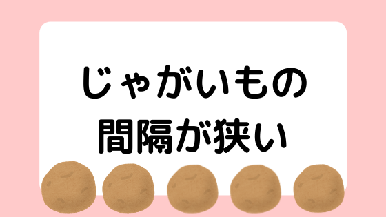 家庭菜園 収穫したじゃがいもが小さい9つの理由と大きく育てる方法 いつもお外はぽっかぽか
