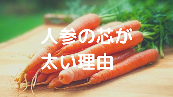 家庭菜園 収穫した人参に太い芯ができてたけど理由と太くしない育て方は いつもお外はぽっかぽか