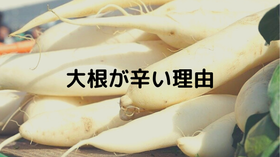 どうして 家庭菜園で収穫した大根が辛かった理由と辛み軽減法 いつもお外はぽっかぽか どうして 家庭菜園で収穫した大根が辛かった理由と辛み軽減法 いつもお外はぽっかぽか