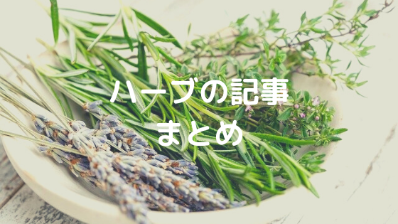 f:id:aisakayo:20200511070535p:plain f:id:aisakayo:20200511070535p:plain