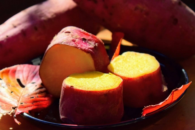 f:id:aisakayo:20200901172036j:plain