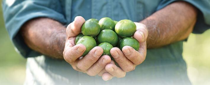 f:id:aisakayo:20220324223724p:plain