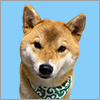 f:id:aisan0515:20200519073539j:plain f:id:aisan0515:20200519073539j:plain