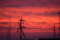 「悪魔が来たりて…」　Nikon D90 / Nikkor 180mm f2.8