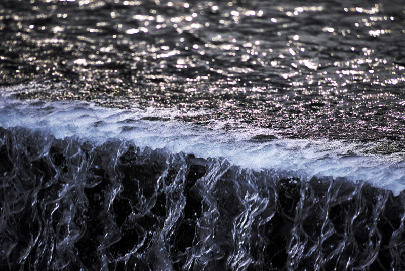 「化身」　Nikon D800 / Nikkor 300mm f4