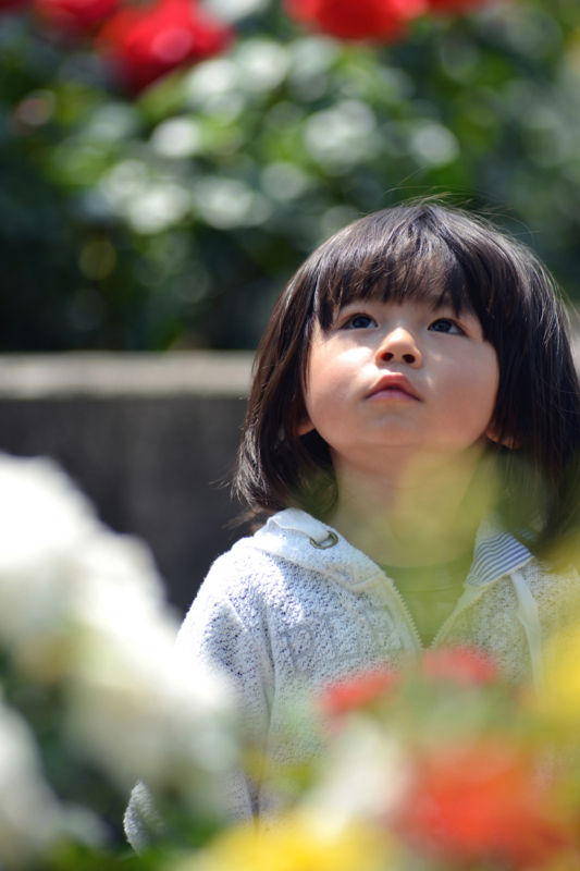 「未来」　Nikon D800 / Nikkor 180mm f2.8