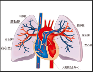 f:id:aisonashiyakuzaishi:20210402062553p:plain