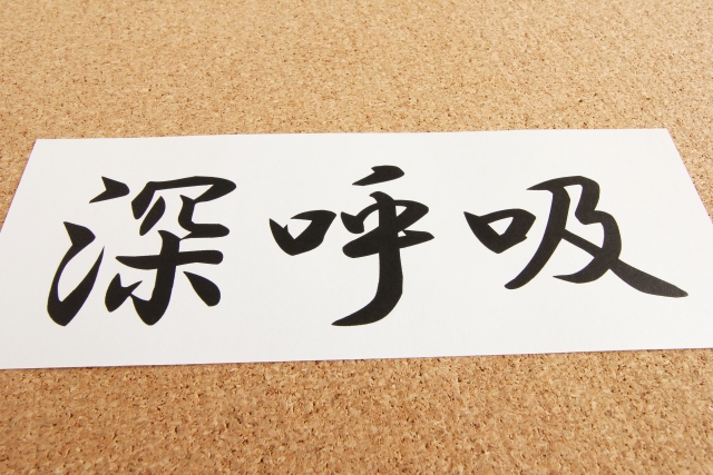 f:id:aisyuudog:20180120191648j:plain