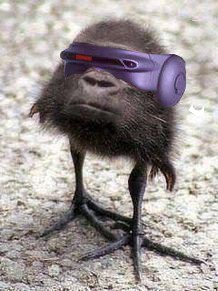 f:id:aisyuudog:20180429180027j:plain