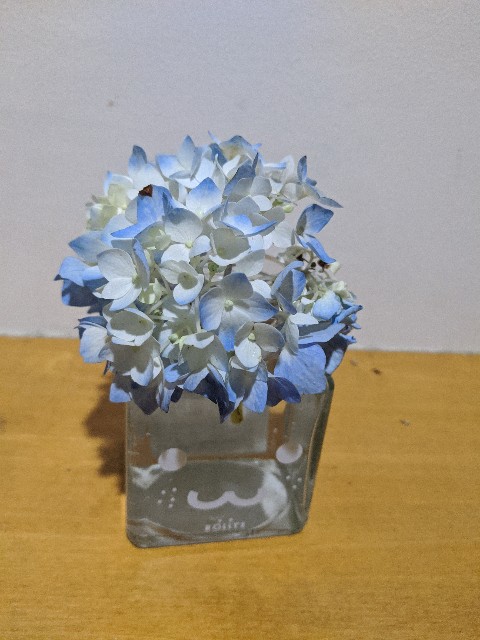 f:id:aitolerance:20200621211308j:image