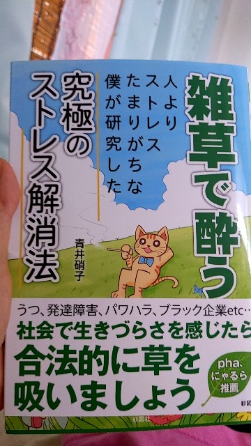 f:id:aitolerance:20200802103235j:image f:id:aitolerance:20200802103235j:image