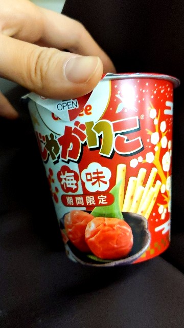 f:id:aitolerance:20210121084210j:image