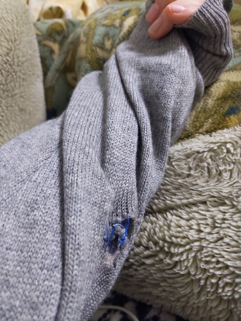 f:id:aitolerance:20210315194442j:image f:id:aitolerance:20210315194442j:image