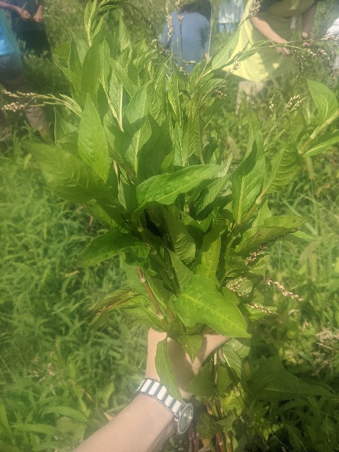 f:id:aitolerance:20210811082004j:image