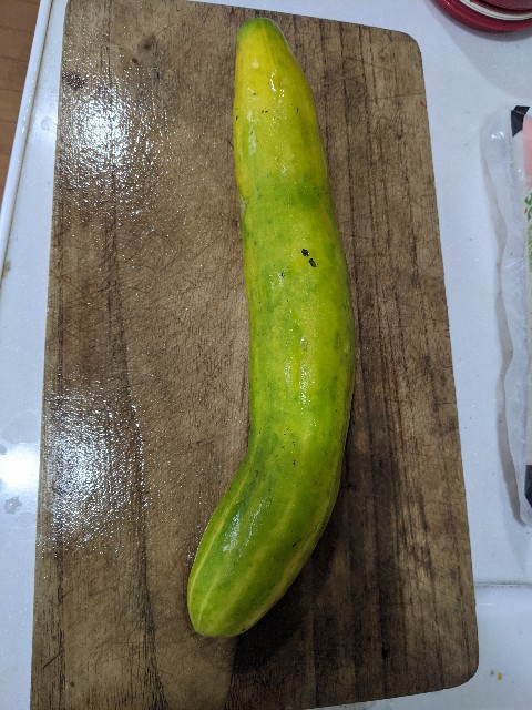 f:id:aitolerance:20210824201101j:image