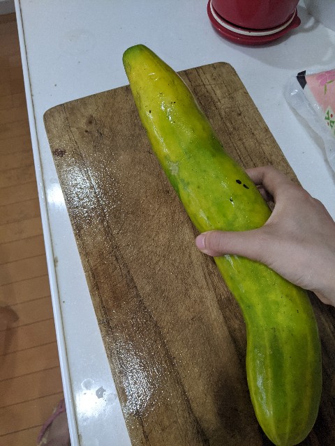 f:id:aitolerance:20210824201116j:image