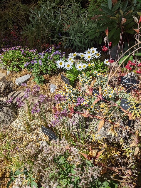 f:id:aitolerance:20211112184440j:image f:id:aitolerance:20211112184440j:image