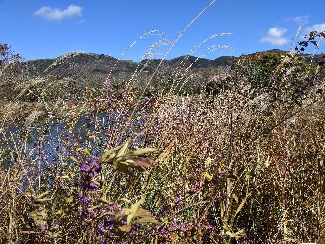 f:id:aitolerance:20211112184538j:image f:id:aitolerance:20211112184538j:image