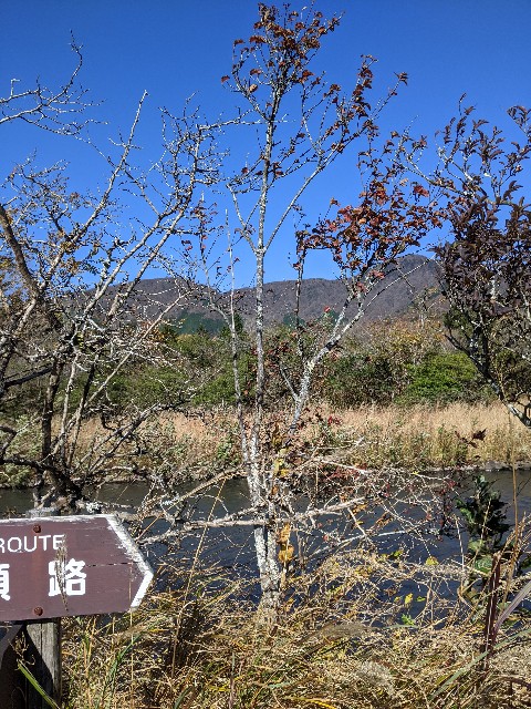 f:id:aitolerance:20211112184558j:image f:id:aitolerance:20211112184558j:image