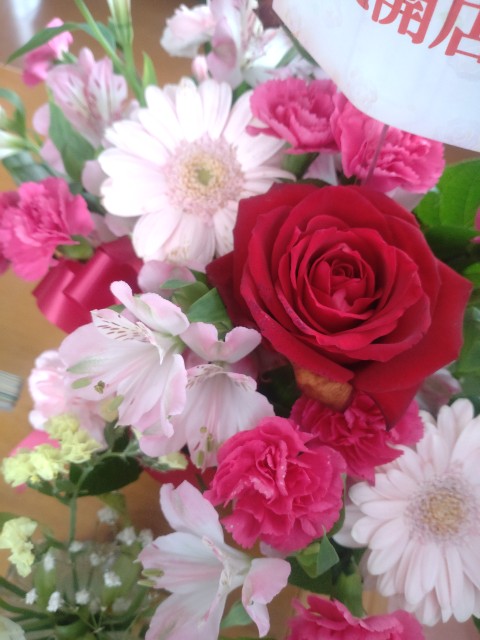 f:id:aitolerance:20240426100349j:image