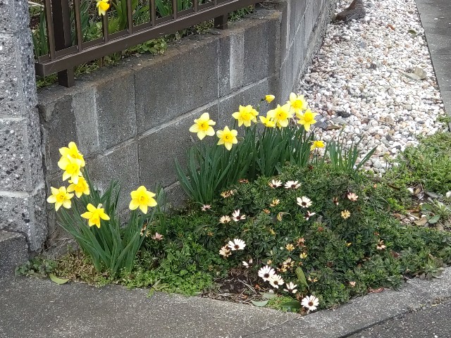 f:id:aitolerance:20250318192747j:image