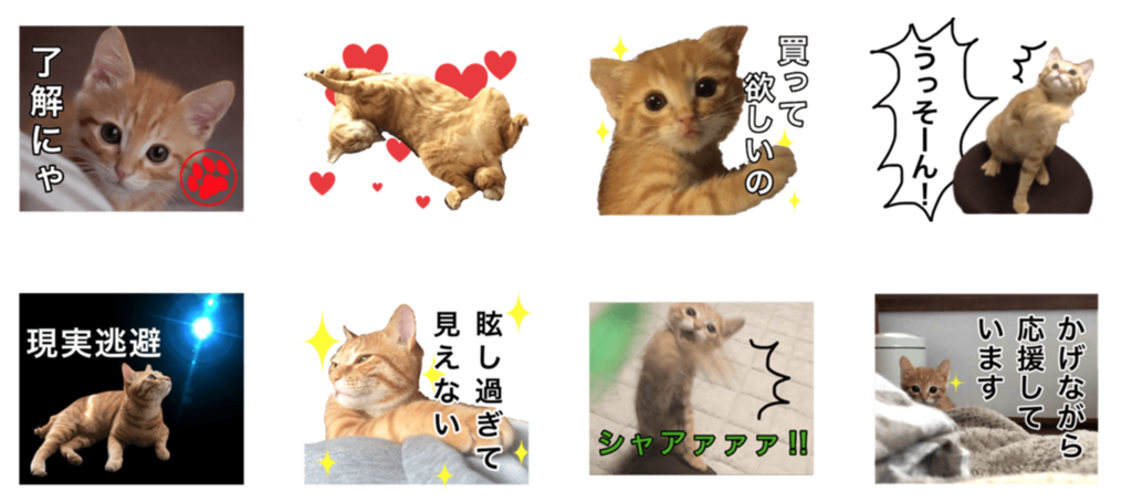 f:id:aitsu-factory:20170811232139p:plain f:id:aitsu-factory:20170811232139p:plain