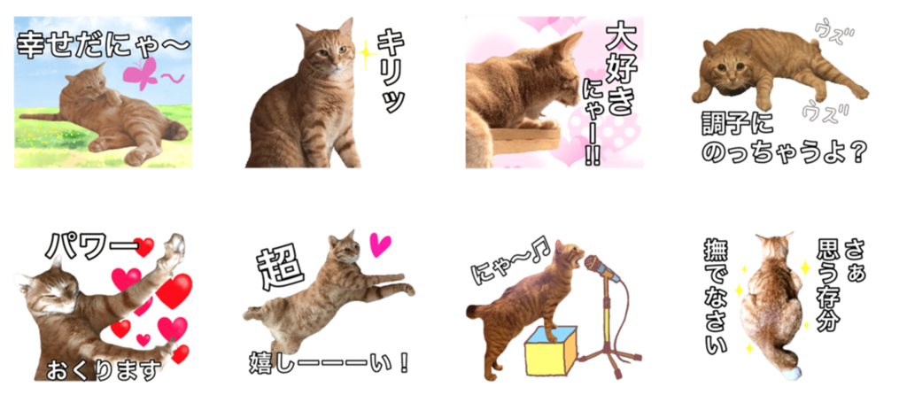 f:id:aitsu-factory:20170811232614p:plain f:id:aitsu-factory:20170811232614p:plain
