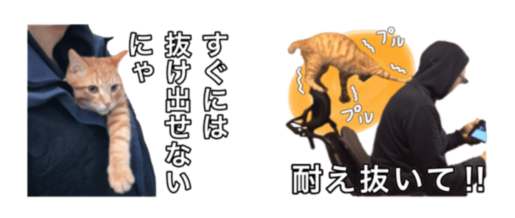 f:id:aitsu-factory:20170811232810p:plain f:id:aitsu-factory:20170811232810p:plain