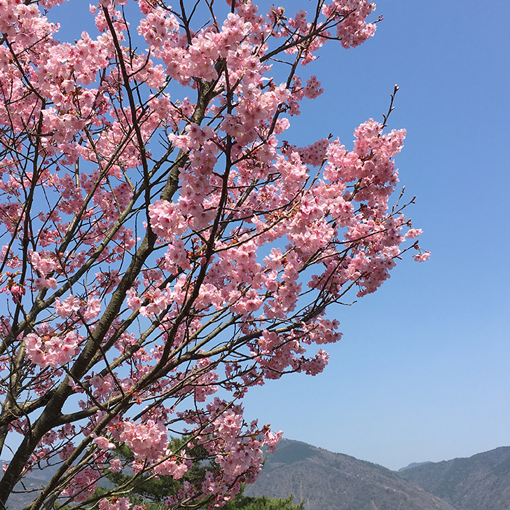 f:id:aitsu-factory:20180329145538j:plain