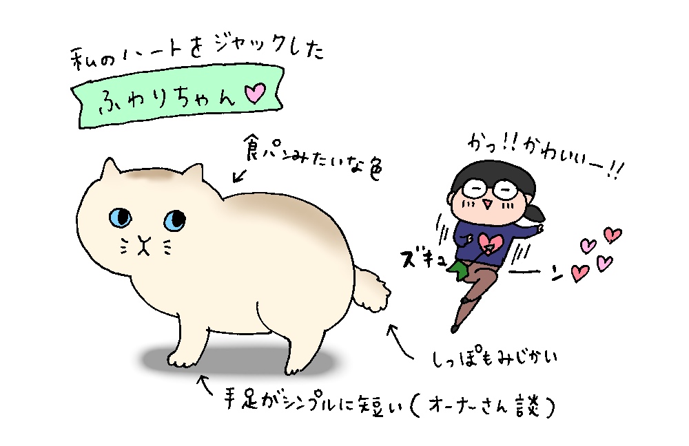 f:id:aitsu-factory:20180615143131j:plain